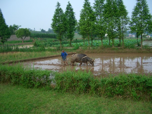 Anhui province - historic village