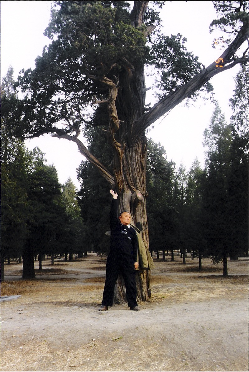 Beijing - Tiantan Park