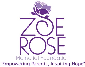 ZR logo tagline2 2012